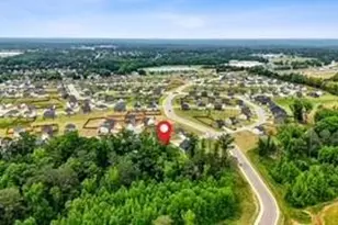 1049 Climbing Rose Wy, McDonough, GA 30253 - Photo 54