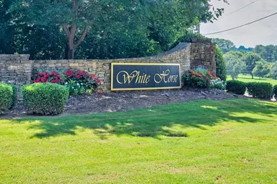 4556 White Horse Drive, Braselton, GA 30517 - Photo 2