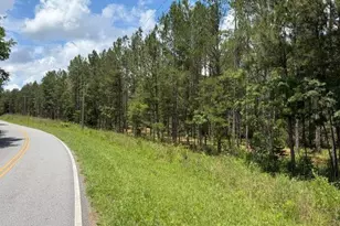 0 Iron Hill Rd, Taylorsville, GA 30178 - Photo 1