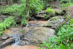 36 Ml Crk Trl, Dahlonega, GA 30533 - Photo 4