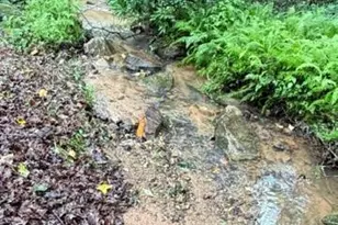 36 Ml Crk Trl, Dahlonega, GA 30533 - Photo 36
