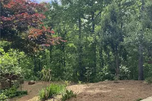 159 Prospect Trail, Cleveland, GA 30528 - Photo 48