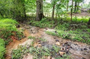 801 Buford Carey Rd, Hull, GA 30646 - Photo 50