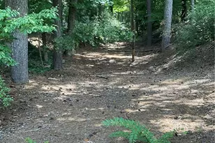 503 River Pl, Woodstock, GA 30188 - Photo 48