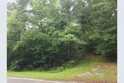 0 Potash Road, Cedartown, GA 30125 - Photo 10