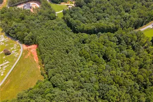 0 Stone Pl Dr, Dawsonville, GA 30534 - Photo 1