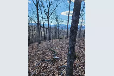 0 Trackrock Gap Road, Blairsville, GA 30514 - Photo 4