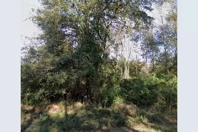 0 Harris Road, Ellerslie, GA 31807 - Photo 2