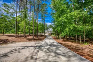 2529 Shockley Spgs Dr, Monroe, GA 30656 - Photo 40