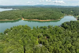 66 Star Creek Ct, Morganton, GA 30560 - Photo 70
