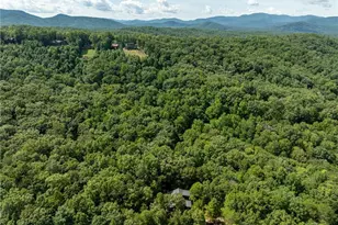 66 Star Creek Ct, Morganton, GA 30560 - Photo 68