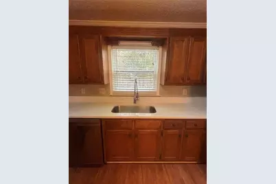 1135 Burning Bush Drive, Loganville, GA 30052 - Photo 20