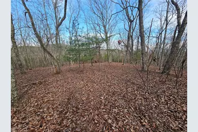 000 Old Federal Road, Dawsonville, GA 30534 - Photo 24