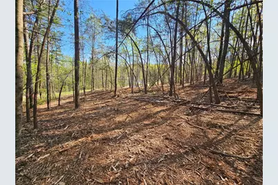 000 Old Federal Road, Dawsonville, GA 30534 - Photo 18
