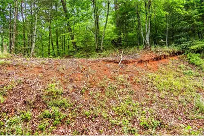 5.58 Gobbler Knob Drive, Ellijay, GA 30540 - Photo 8