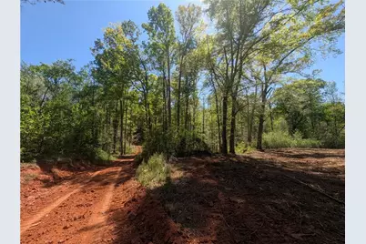 0 Magnum Lane, Pendergrass, GA 30567 - Photo 4