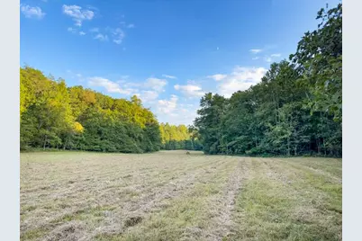 5664 Mobile Road, Blue Ridge, GA 30513 - Photo 64