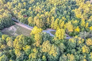 5664 Mobile Rd, Blue Ridge, GA 30513 - Photo 52