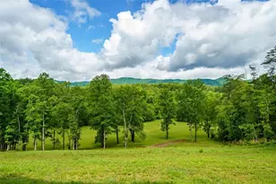 5664 Mobile Rd, Blue Ridge, GA 30513 - Photo 40