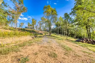 5664 Mobile Rd, Blue Ridge, GA 30513 - Photo 60