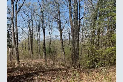 43.91 Old Burnt Mountain, Ellijay, GA 30540 - Photo 16