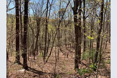 43.91 Old Burnt Mountain, Ellijay, GA 30540 - Photo 14