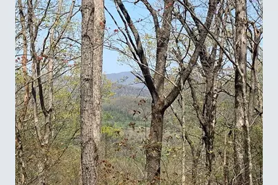 43.91 Old Burnt Mountain, Ellijay, GA 30540 - Photo 20