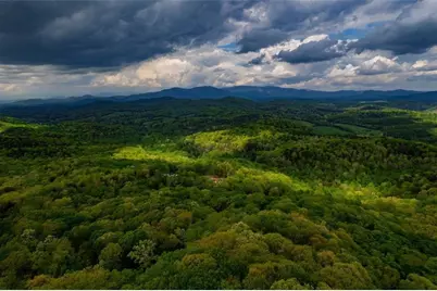 43.91 Old Burnt Mountain, Ellijay, GA 30540 - Photo 2