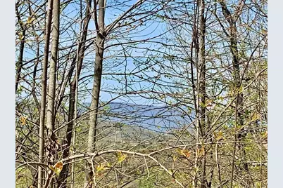 43.91 Old Burnt Mountain, Ellijay, GA 30540 - Photo 18