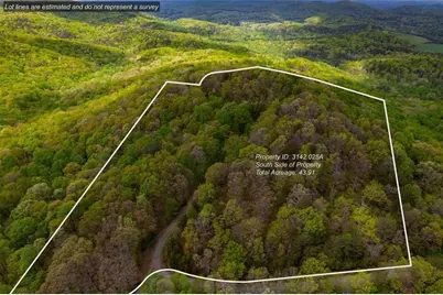 43.91 Old Burnt Mountain, Ellijay, GA 30540 - Photo 1