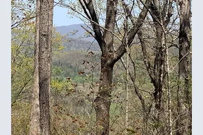 43.91 Old Burnt Mountain, Ellijay, GA 30540 - Photo 24