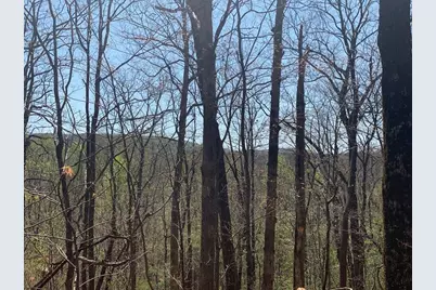 43.91 Old Burnt Mountain, Ellijay, GA 30540 - Photo 22