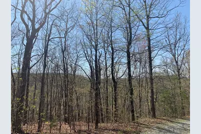 43.91 Old Burnt Mountain, Ellijay, GA 30540 - Photo 26