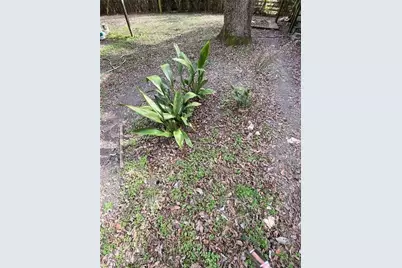 320 Old Perry Road, Marshallville, GA 31057 - Photo 18