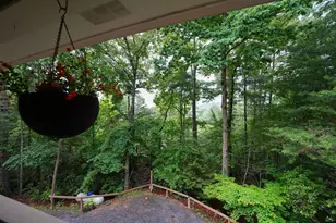 165 Amelia Ln, Blue Ridge, GA 30513 - Photo 20