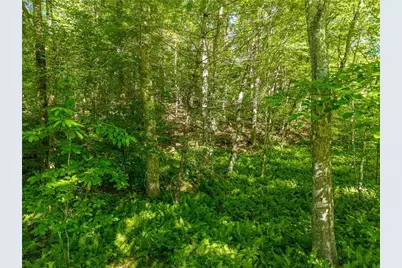 5664 Mobile Road, Blue Ridge, GA 30513 - Photo 68