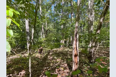 0 Barrington, Covington, GA 30016 - Photo 20