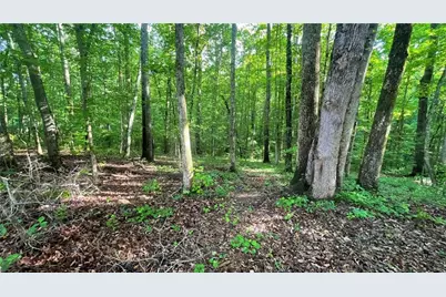 656 Belmont Road, Villa Rica, GA 30180 - Photo 14
