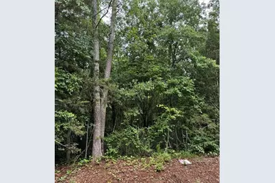 0 Lewis Drive, Lavonia, GA 30553 - Photo 1