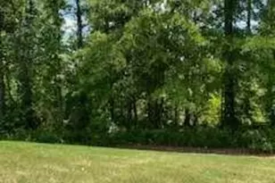 14 Candleberry Wy, Sharpsburg, GA 30277 - Photo 50