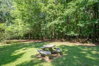 115 Hazelridge Lane, Sharpsburg, GA 30277 - Photo 54