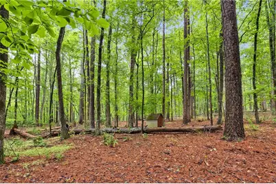 61 Lake Coweta Trail, Newnan, GA 30263 - Photo 48
