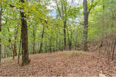 98 Sharp Mountain Parkway, Jasper, GA 30143 - Photo 12