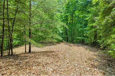 98 Sharp Mountain Parkway, Jasper, GA 30143 - Photo 18