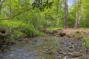 148 Brookwood Dr, Blue Ridge, GA 30513 - Photo 40