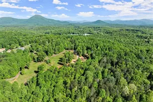 2239 Dean Mountain Rd, Cleveland, GA 30528 - Photo 6