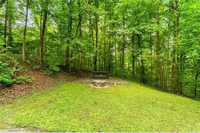 1178 Swan Bridge Road, Talking Rock, GA 30175 - Photo 46