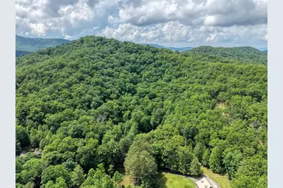 1564 Black Ankle Creek Road, Cherry Log, GA 30522 - Photo 34