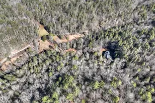 7233 Shakerag Rd, Ellijay, GA 30540 - Photo 78