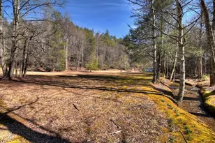 7233 Shakerag Rd, Ellijay, GA 30540 - Photo 98